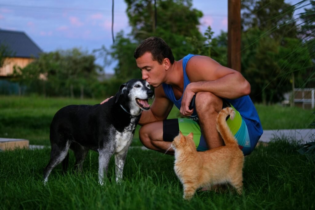 A man crouches in a garden kissing his dog while a cat looks on. Outdoor scene with natural lighting.